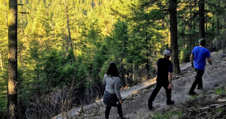 Group of tourist enjoys highking trails in the Whitefish Trail
