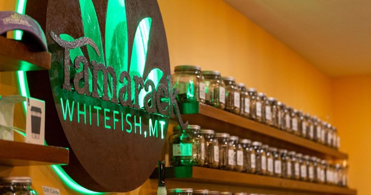 Inside the Tamarack Cannabis shop with their elegant logo and different products