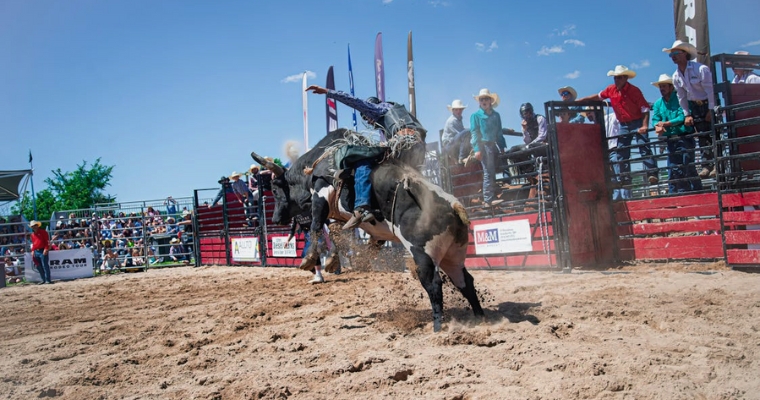 A rodeo participant is seen falling off a bucking bull at the Brash Rodeo Summer Series in Whitefish Events.