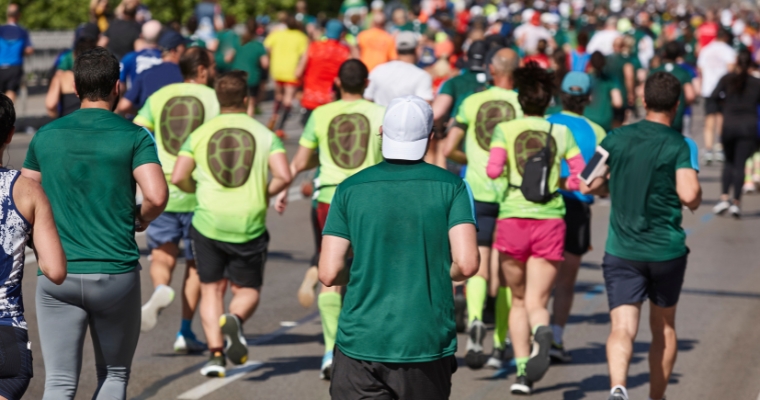 A diverse group of runners participating in the Whitefish Half Marathon, showcasing determination and athleticism.