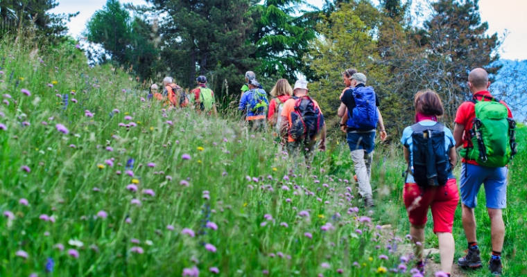 A diverse group of hikers exploring a grassy field during the Wildflower Walks event in Whitefish.