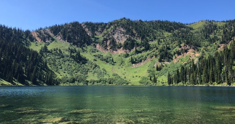 Tranquil lake bordered by vibrant green trees and towering mountains, showcasing the beauty of Flathead National Forest, Whitefish.