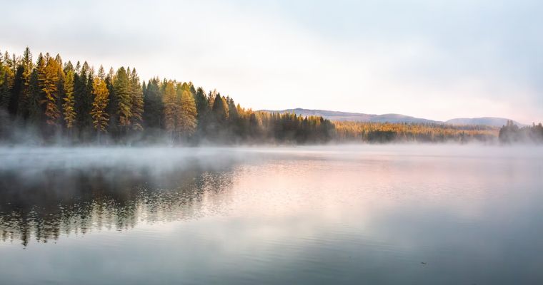 Misty fog blankets Whitefish Lake, surrounded by verdant trees, creating a peaceful and picturesque natural landscape.