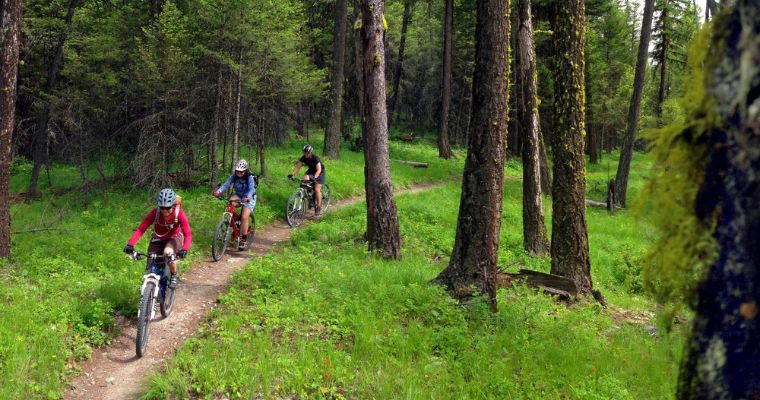 Three people enjoy biking on a wooded trail, representing the outdoor activities available in the Whitefish Trail System.