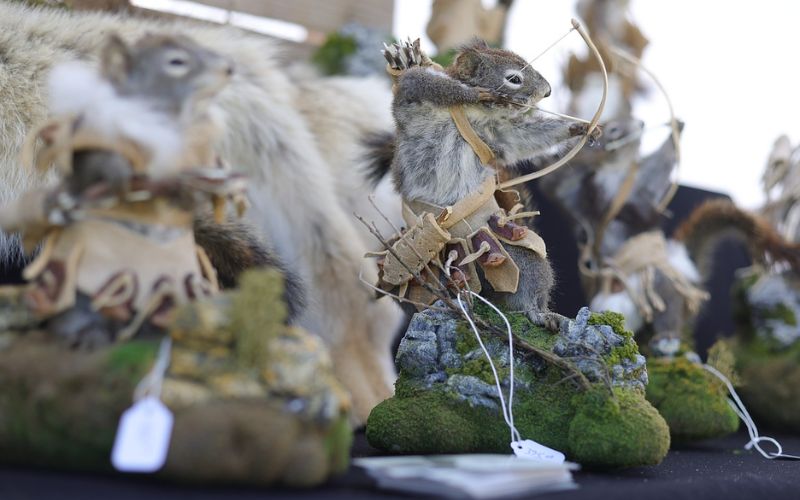 A collection of squirrel stuffed displayed at the Whitefish Arts Festival, showcasing creativity and craftsmanship.