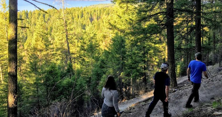 Three individuals trek up a forested path, immersed in the scenic landscape of Whitefish, Montana, while hiking the trail.