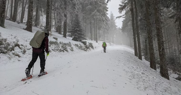 A group of tourist traverse a snowy path in the woods, enjoying the serene beauty of Big Mountain Nordic Trails in Whitefish, Montana.