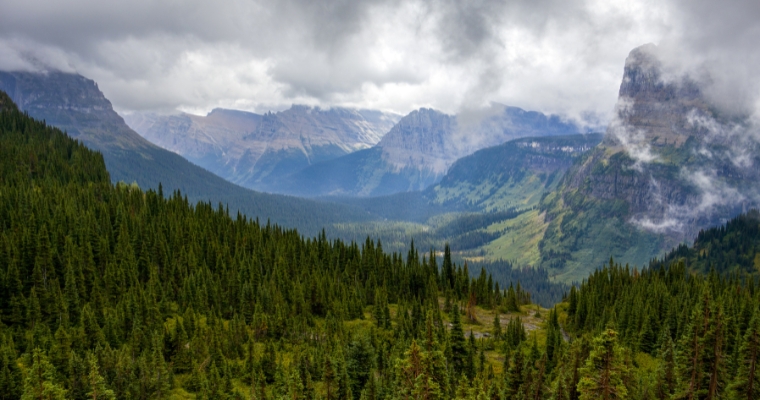 Scenic view of mountains and trees in Flathead National Forest, showcasing the natural beauty of Whitefish, Montana.