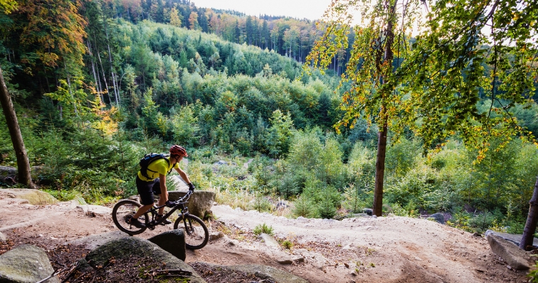 A cyclist navigates a mountain biking trail in Whitefish, Montana, highlighting the region's outdoor adventure options.