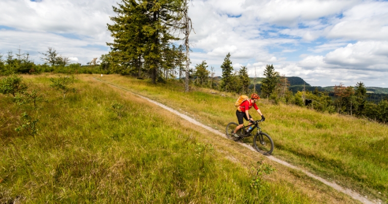 A man rides a mountain bike along a scenic trail in the Whitefish Trail System, showcasing outdoor adventure in Montana.