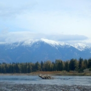 Whitefish Arts Festival