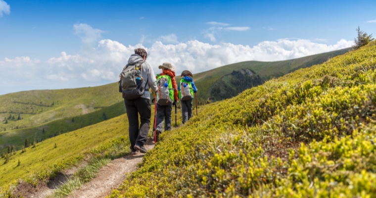 A group of hikers on a mountain trail during summer in Whitefish, surrounded by lush greenery and scenic views.