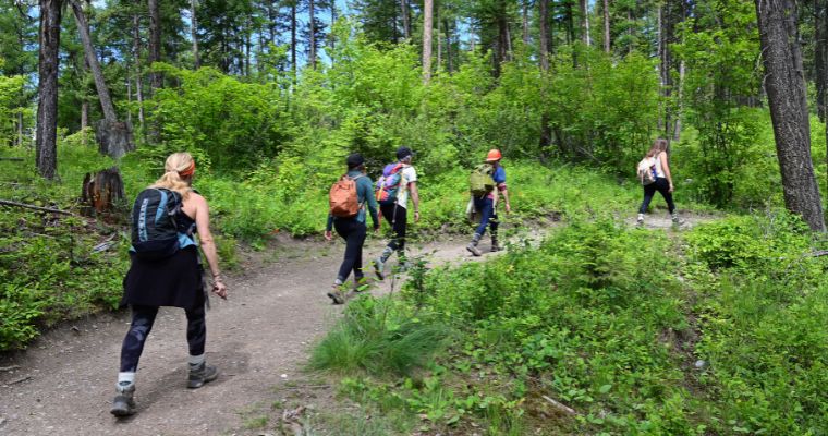 Whitefish in Summer