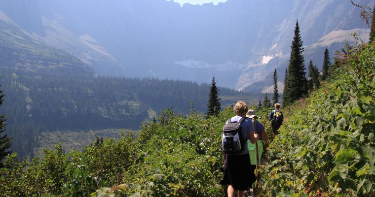 Hikers walking along a lush green trail in Whitefish, Montana, surrounded by pine trees with a panoramic view of a valley and distant mountains.